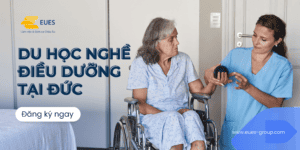 Website điều Dưỡng