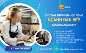 Seo Web đầu Bếp 02